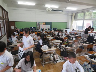 31-1.jpg