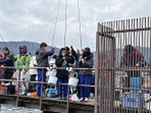 117-3.jpg