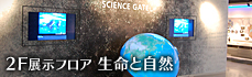 2F展示フロア　水と生命の共存