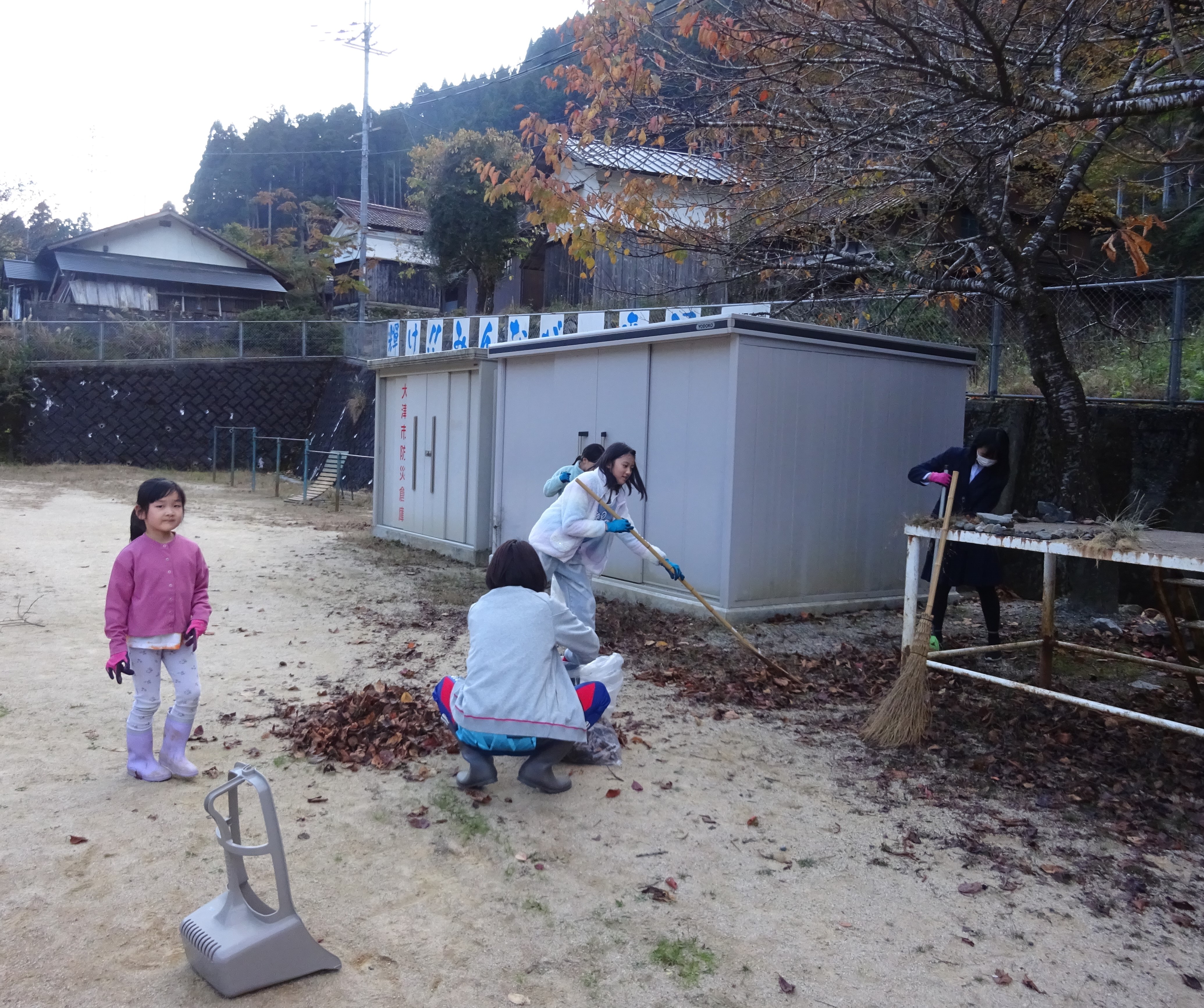 DSC01253.jpg