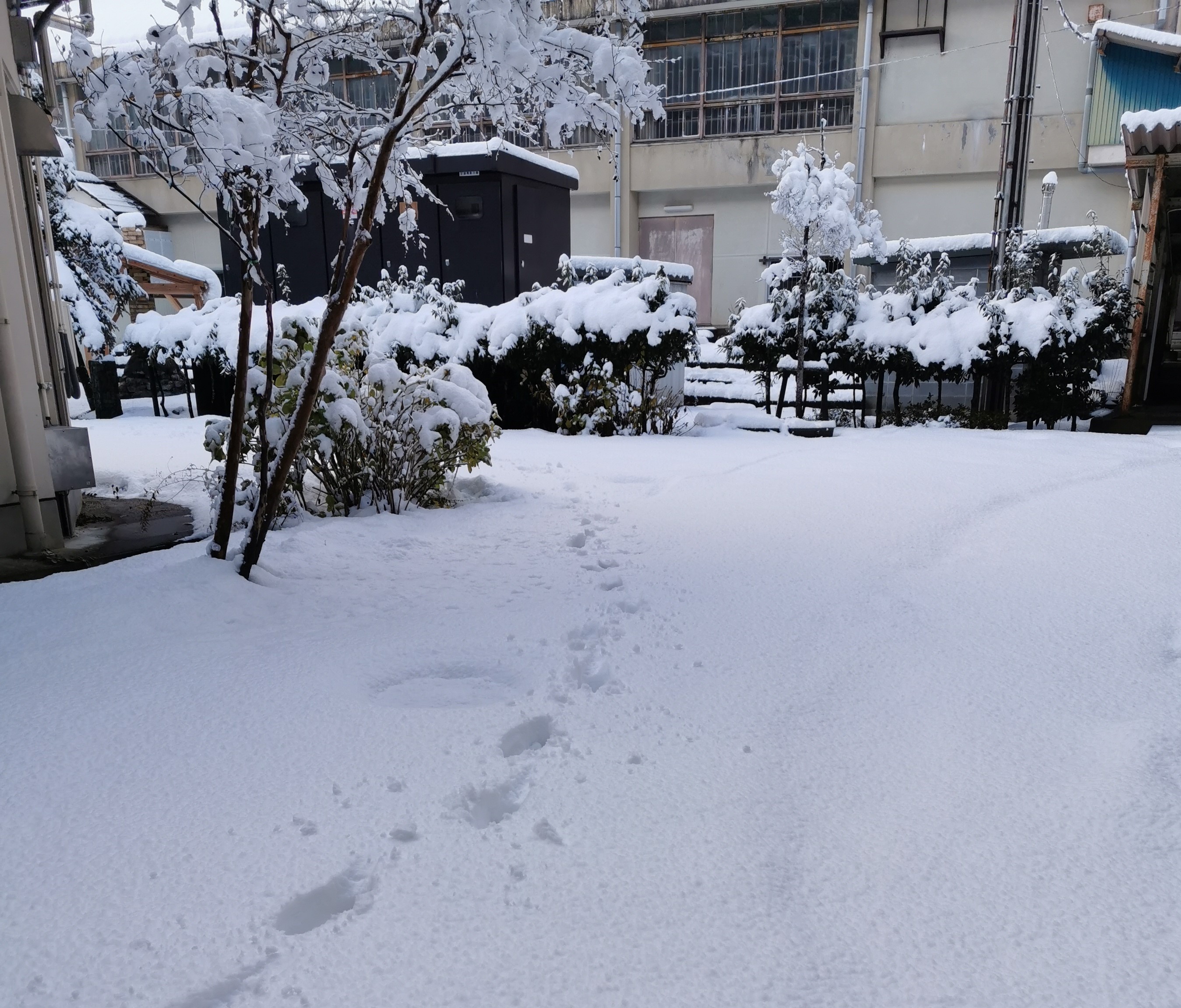 終業式4IMG_20241223_081213.jpg