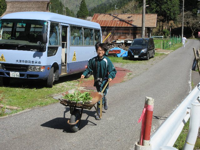 友禅菊苗植え03.jpg