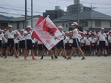 635-3.jpg