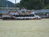 636-3.jpg