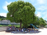 642-2.jpg