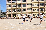 645-1.jpg