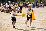 645-3.jpg