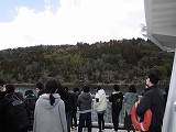 650-2.jpg