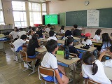 19-1.jpg
