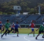 224-1.jpg