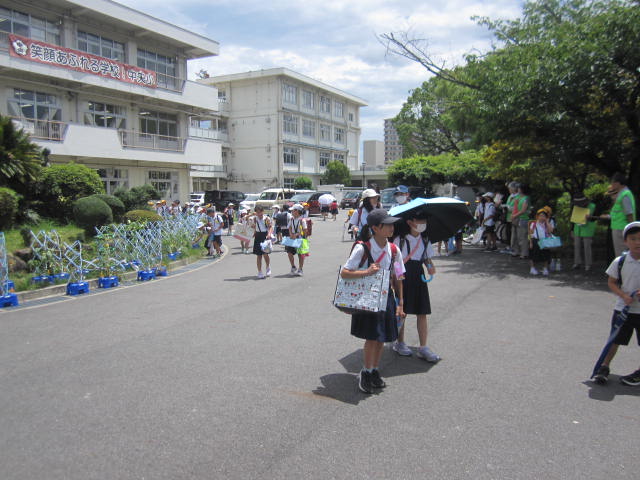 2043-2.jpg