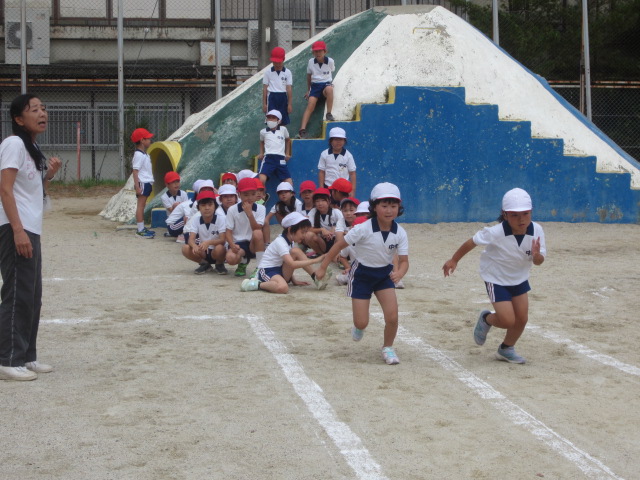 2181-3.jpg