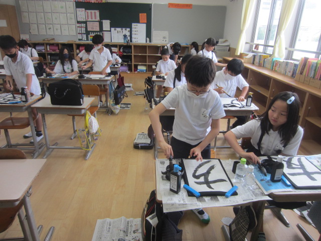 2203-3.jpg