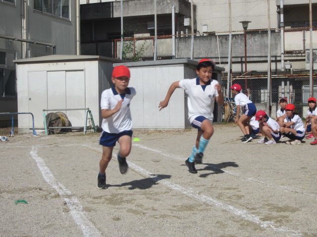 2237-3.jpg