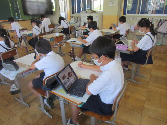 2241-1.jpg