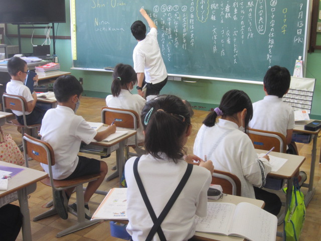 2246-1.jpg