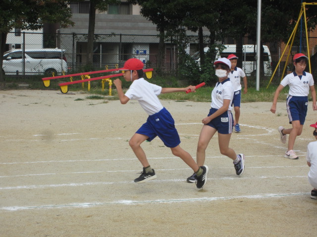 2363-3.jpg