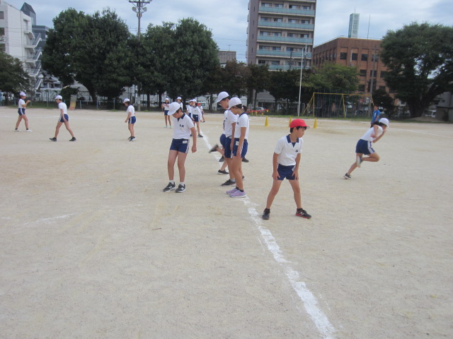 2368-2.jpg