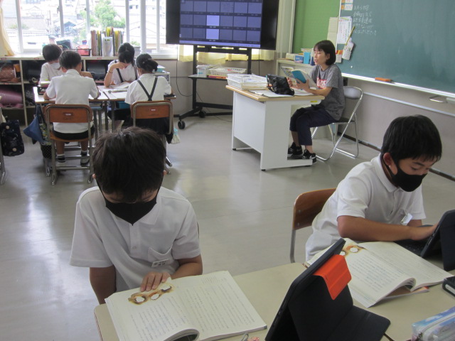 2378-3.jpg