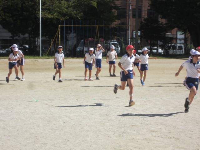 2413-2.jpg
