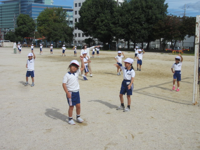 2433-3.jpg