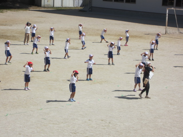 2439-1.jpg