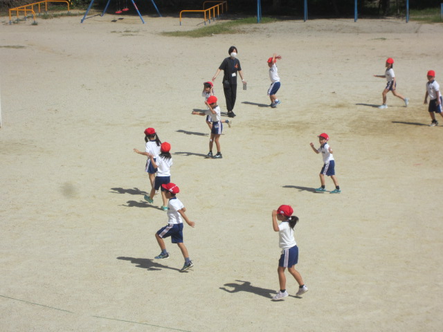 2439-2.jpg