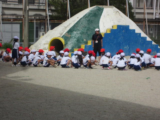 2439-3.jpg