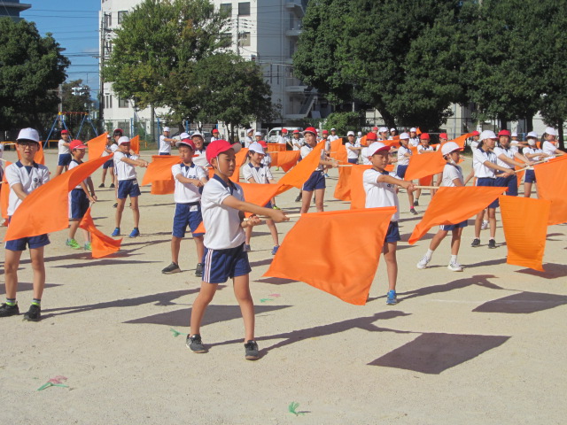 2444-1.jpg