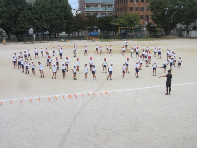 2455-1.jpg