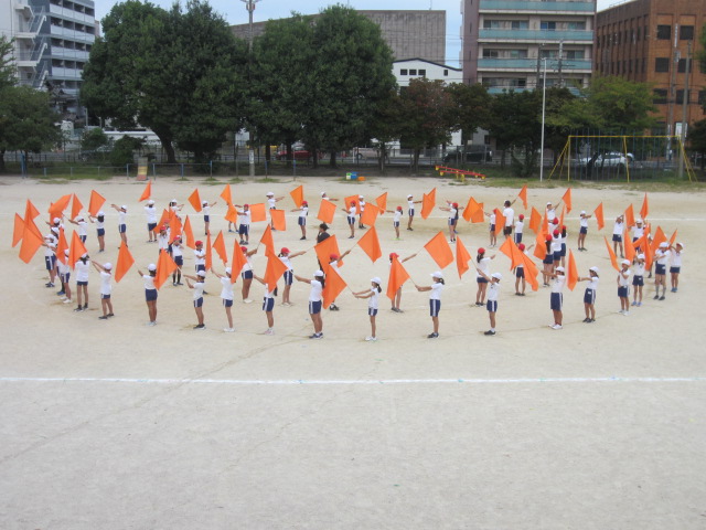 2455-3.jpg