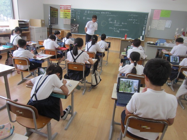 2460-1.jpg