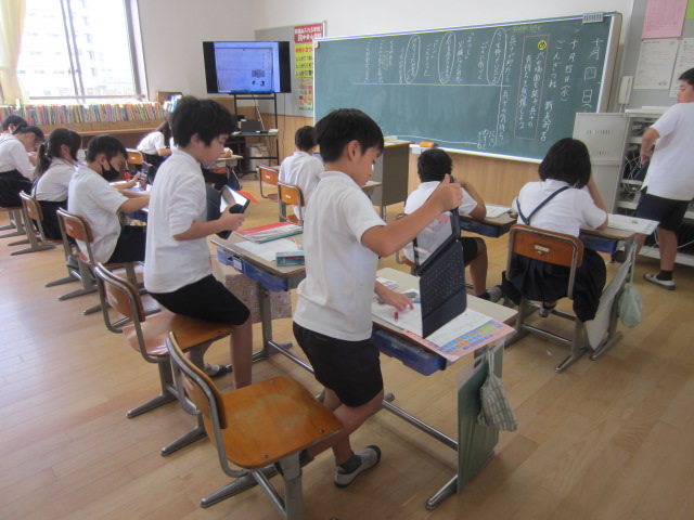 2461-1.jpg