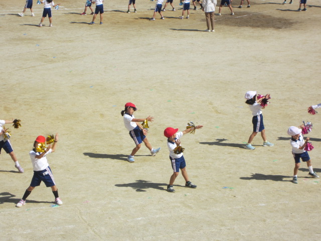 2517-3.jpg