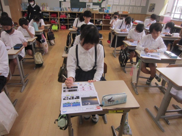 2596-1.jpg