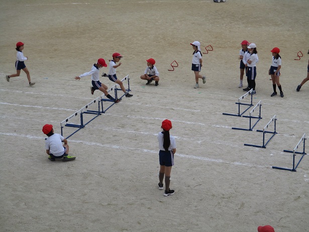 2623-2.jpg