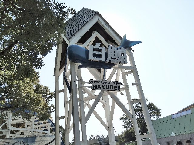 2815-1.jpg