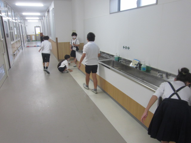 2905-3.jpg