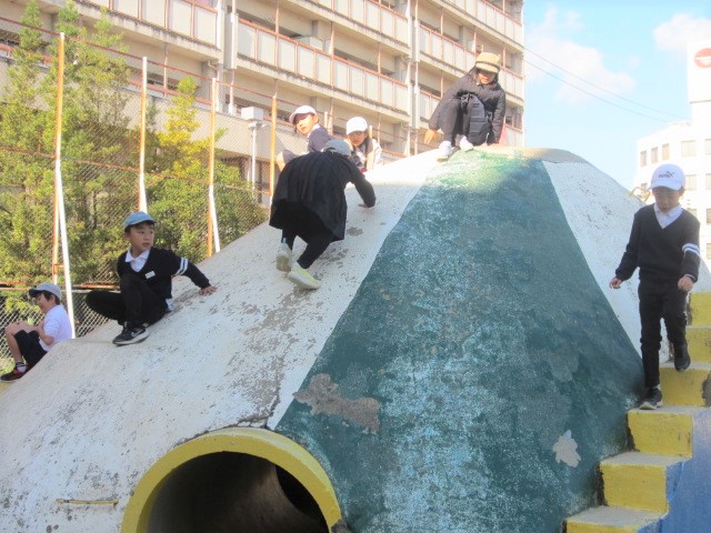 2951-1.jpg