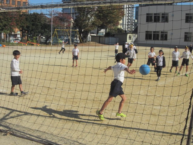2951-2.jpg