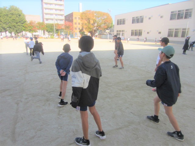 2952-2.jpg