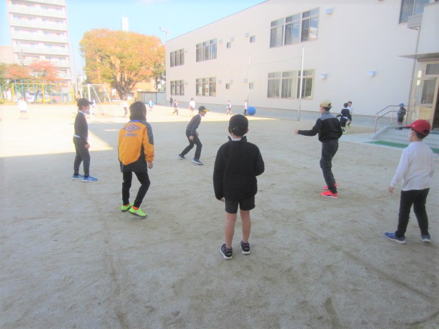 2952-3.jpg
