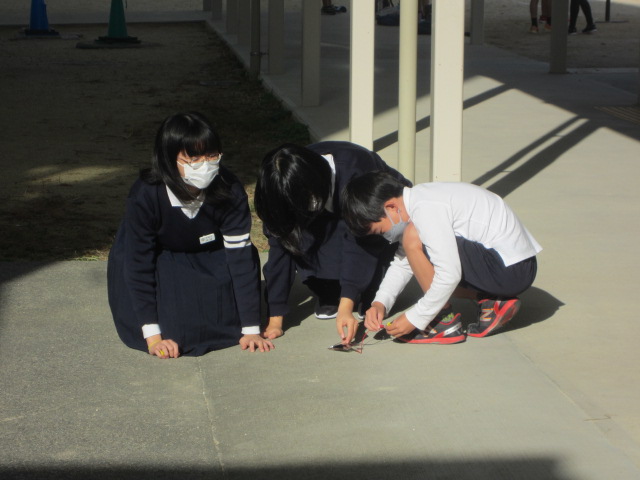 2971-3.jpg