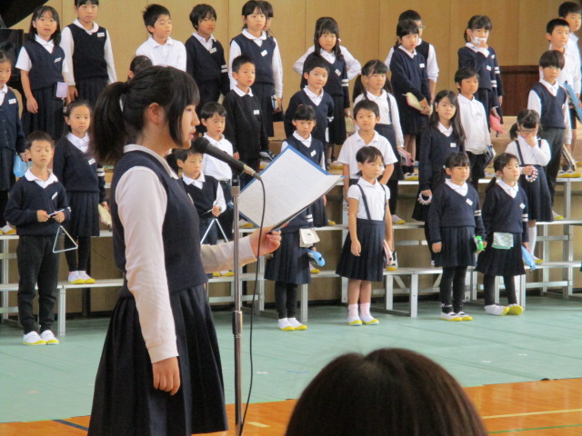 2976-1.jpg