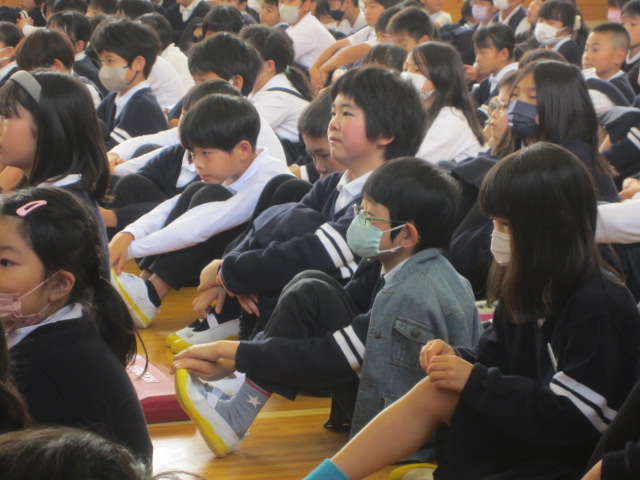 2976-3.jpg