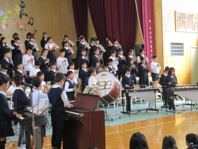 2981-2.jpg