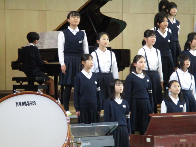 2982-1.jpg
