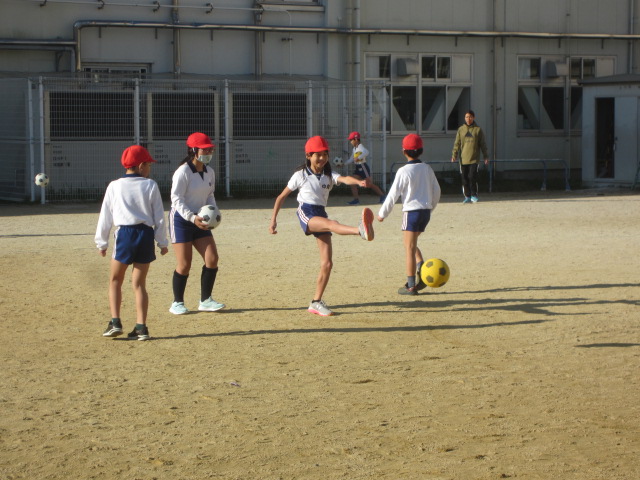 3023-2.jpg