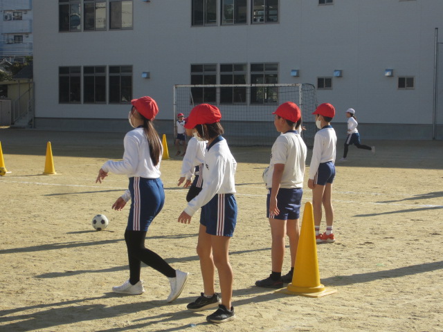 3023-3.jpg