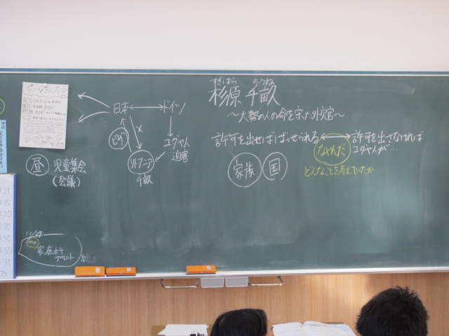 3116-3.jpg